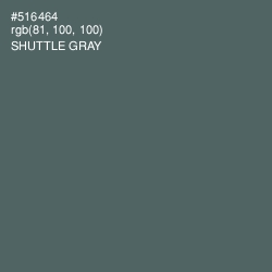 #516464 - Shuttle Gray Color Image